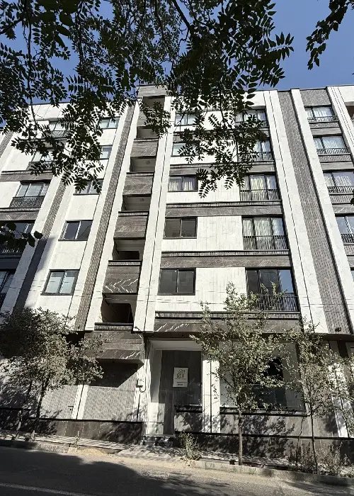 shamshad-project (2)